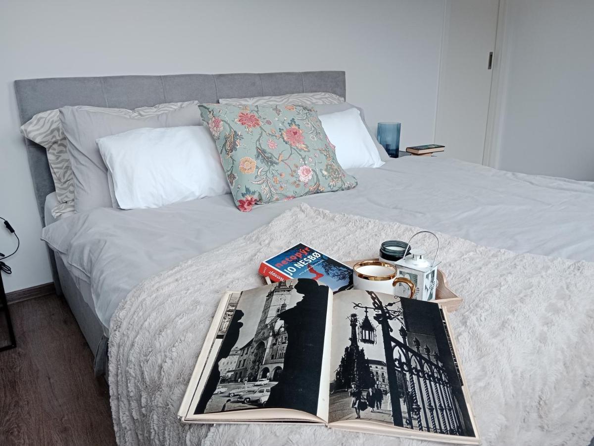 J&Z Apartman 奥洛穆茨 外观 照片